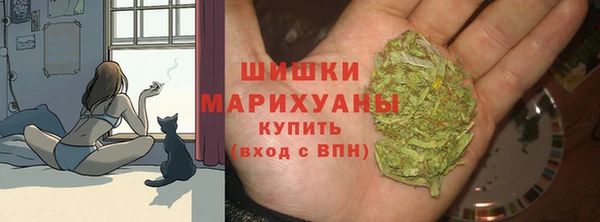 амф Богданович