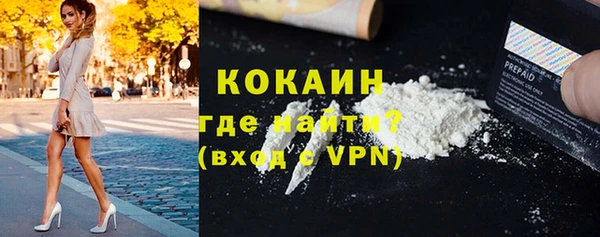 ГАЛЛЮЦИНОГЕННЫЕ ГРИБЫ Белокуриха