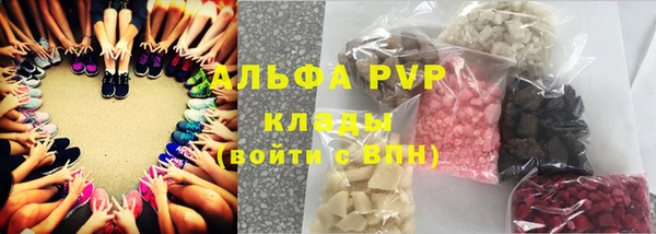 ГАЛЛЮЦИНОГЕННЫЕ ГРИБЫ Белокуриха