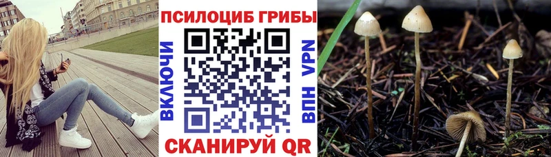KRAKEN маркетплейс  Невель  Псилоцибиновые грибы мицелий 